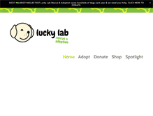 Tablet Screenshot of luckylabrescue.com